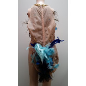 Showgirl's Sheer Outfit - Original Costume from the 40's to 60's